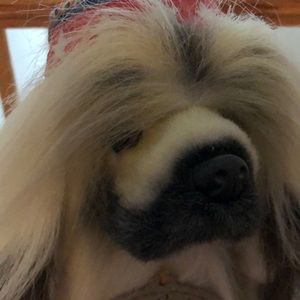 Meet your Posher, Winnie